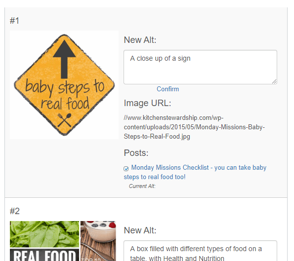 Screenshot of the Image Alt Compliance tool showing an image, a place to update the alt text, the image URL, and the posts the image is in